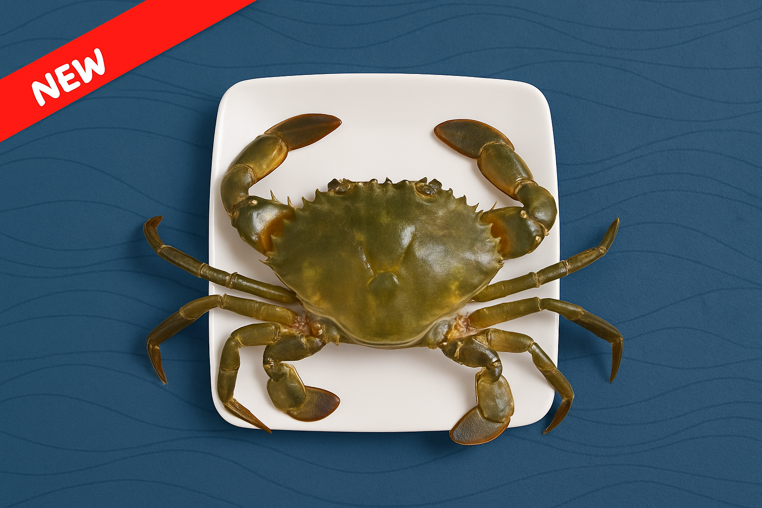 Green Crab