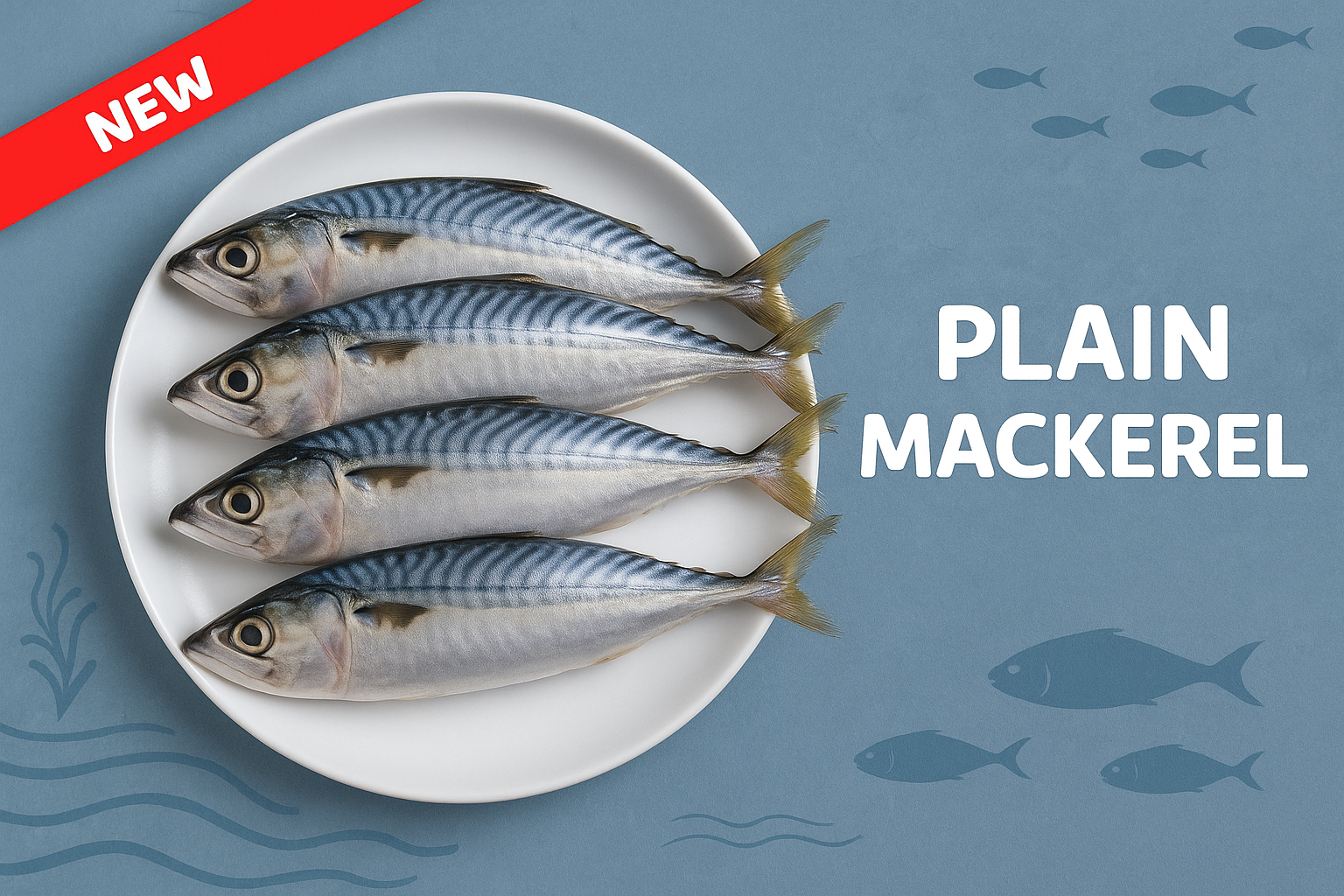 Plain Mackerel Fish